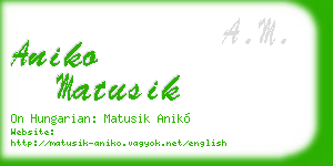 aniko matusik business card